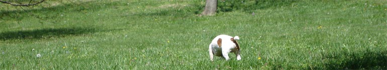 gay and gay online real time sex video chat header image 2